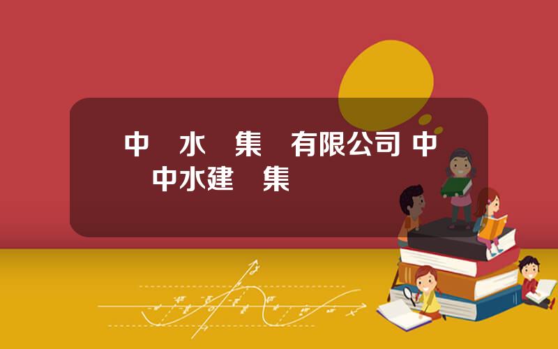 中國水業集團有限公司 中國中水建設集團